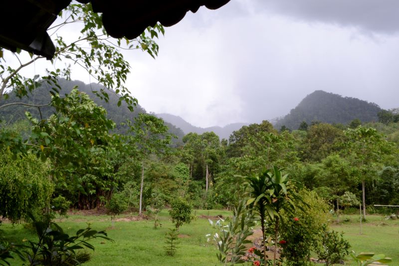 Zoomer sur l'image : Buta Kapal Guest House